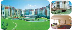SİNPAŞ A.Ş. CENTER LİFE